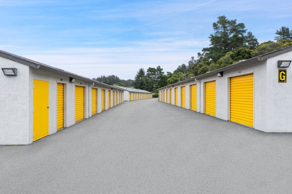 BuxBear Storage Aptos - 7525 Freedom Boulevard