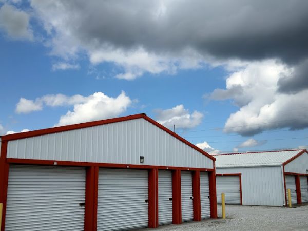 Storage Lion - Madison St - 1038 North Madison Street