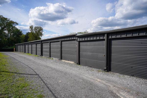 Golden Eagle Storage - 803 East Lane Street