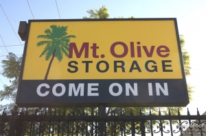 Mt. Olive Storage