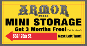 Armor Steel Mini Storage