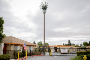 The Storage Spot - Fremont