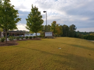 South Hall Express Delivery - Tville