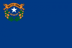National Self Storage-Las Vegas (LAS2) - Photo 4