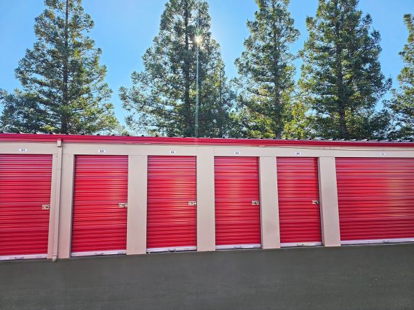 Security Public Storage - 6310 Stockton Blvd