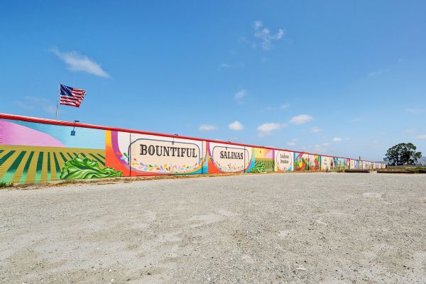 Security Public Storage - 271 Sun Way
