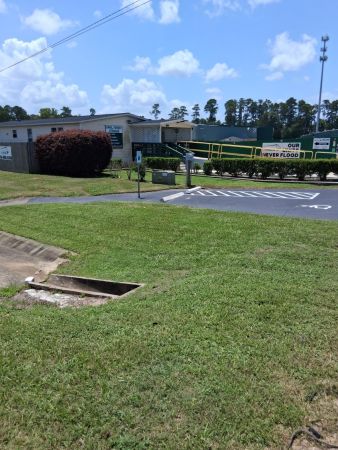 April Forest Collection April Forest Storage | SpareFoot