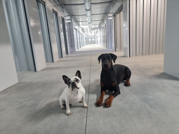 Apollo Self Storage - 130 Thunder Road