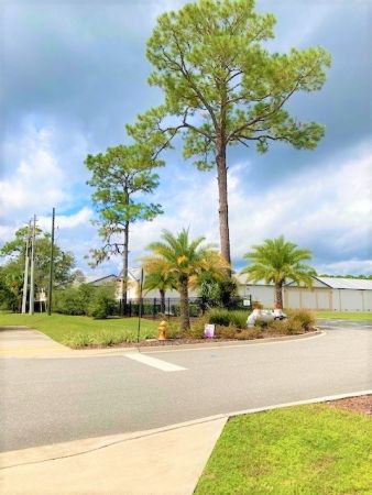 Atlantic Self Storage - Palm Valley - 2400 Palm Valley Road