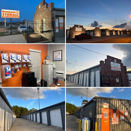 Hammond Lock Storage - 43216 South Holly Street