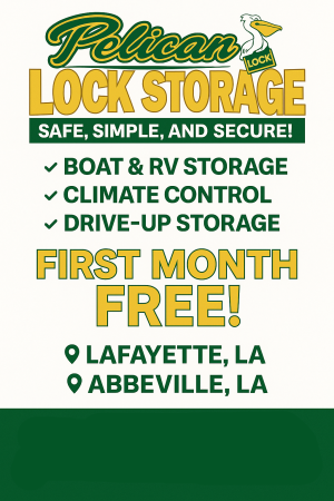 Pelican Lock Storage - 1812 East Villien Avenue