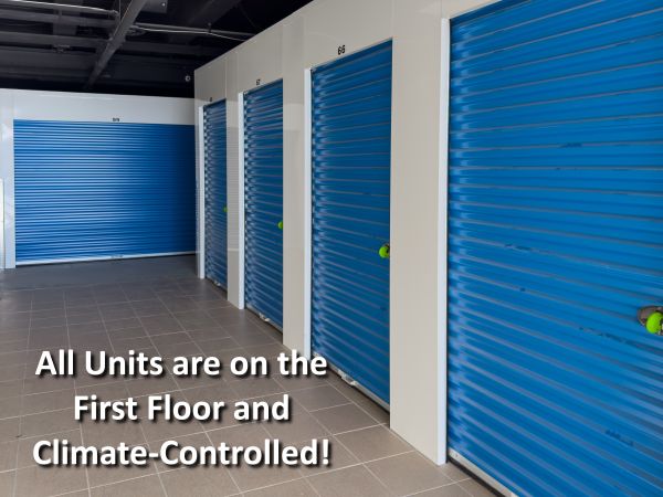 A-Metro Self Storage - Albany - 66 Colvin Avenue