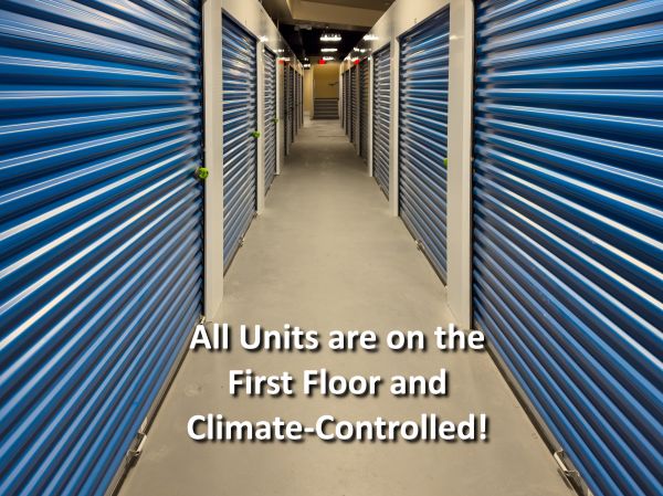 A-Metro Self Storage - Albany - 66 Colvin Avenue