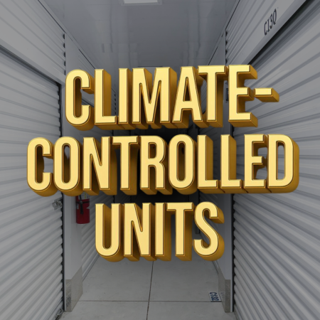 Halsey Self Storage - 4200 South Caraway Road