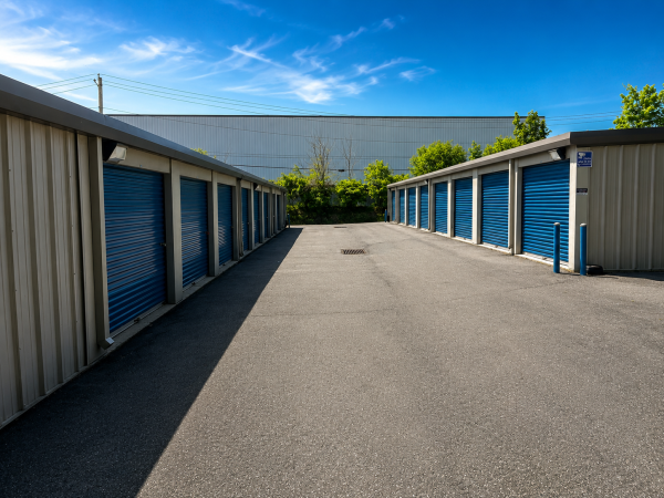 Compass Self Storage - Compass Self Storage - Dolson Ave. (322) - 94 Dolson Avenue