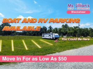 Ms. Lillian's Self-Storage - Blackshear