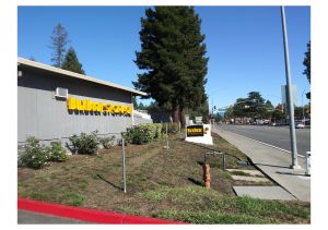 Photo of BuxBear Storage Santa Rosa