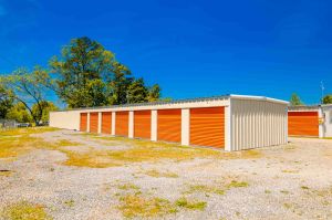 Photo of Mini Mall Storage - Courtland
