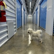Photo of Local Storage USA