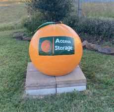 Photo of Access Storage