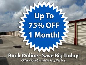 KO Storage of Brownsville - Paredes Line Rd